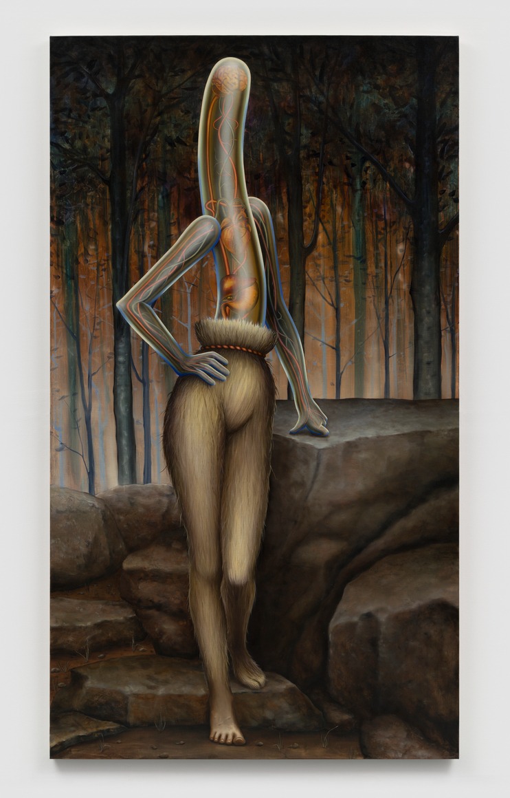 Emily Mae Smith: Transit of Venus