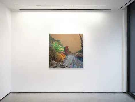 Installation view, The Overview, C24 · 2025 (2)