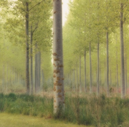 Installation view, Lynn Geesaman, Yancey Richardson · 2026 (10)