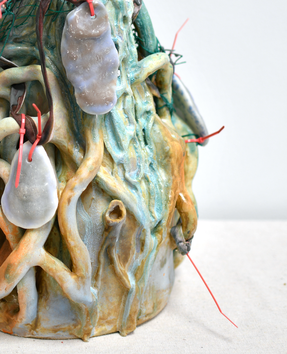 Rachel Frank: Wild Dreams