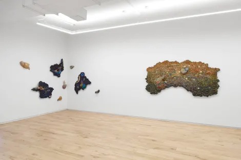Installation view, Underbelly Bloom, DIMIN · 2025 (4)