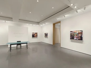 Installation view, American Dream, Edwynn Houk Gallery · 2025 (2)
