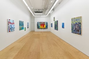 Installation view, C0LL3C70R 613, High Noon Gallery · 2026 (3)