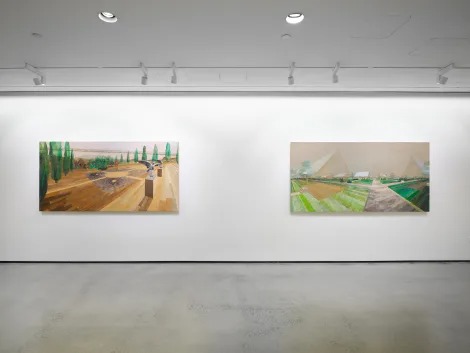 Installation view, The Overview, C24 · 2025 (1)