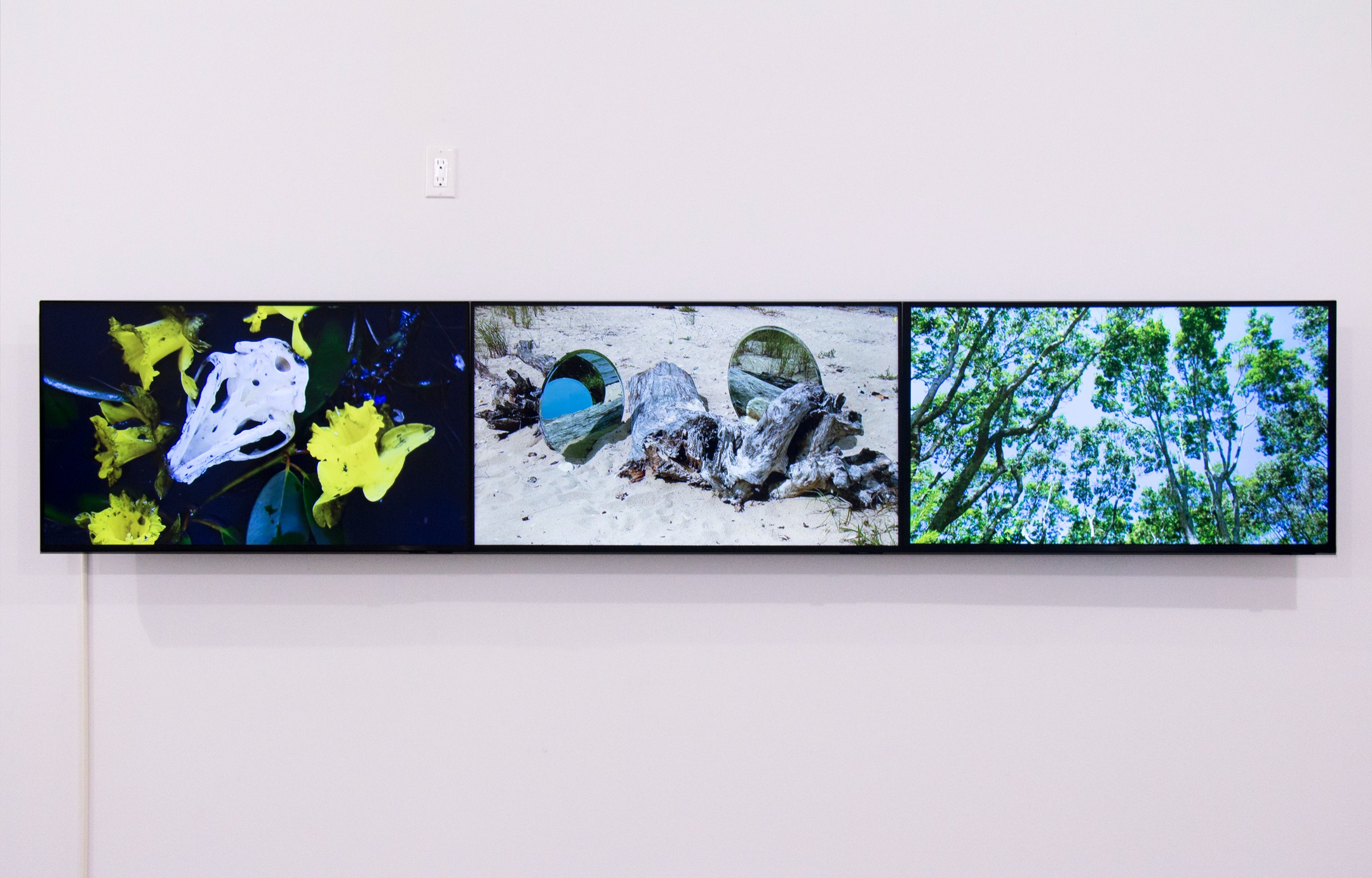 Frank Gillette: Spectra Obscura