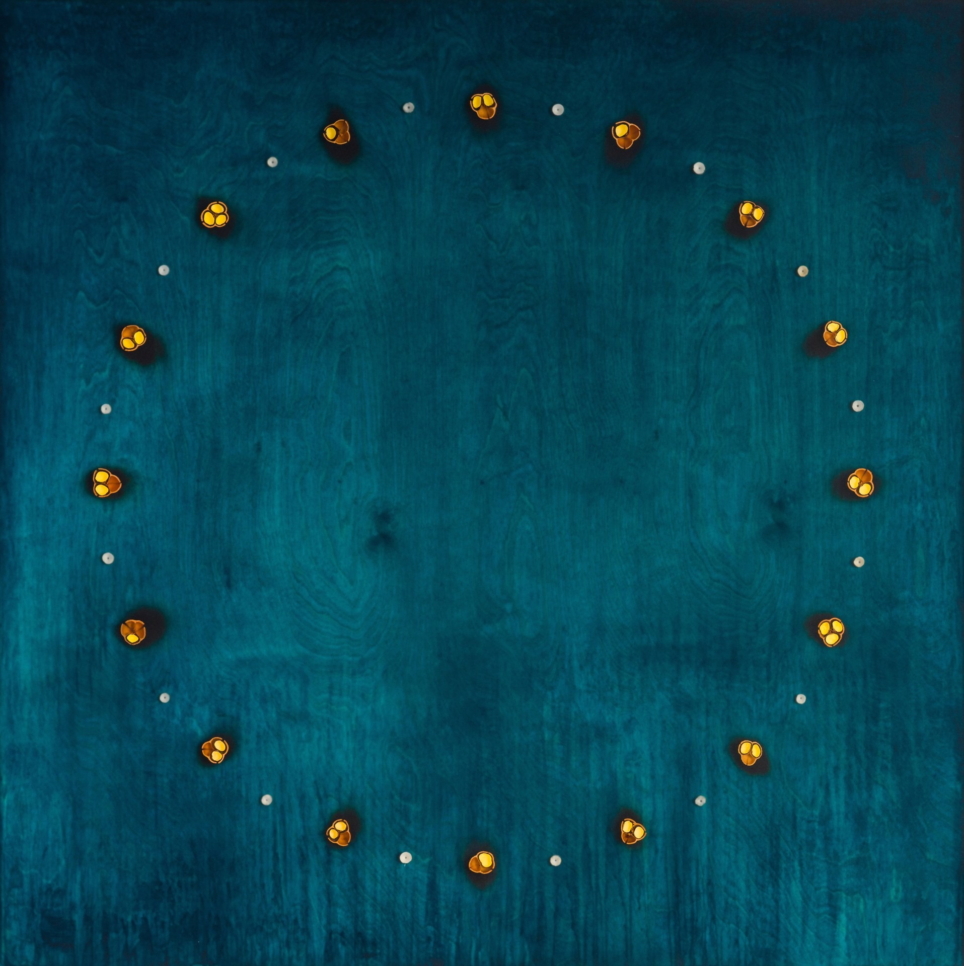 Mayme Kratz: To Know the Dark