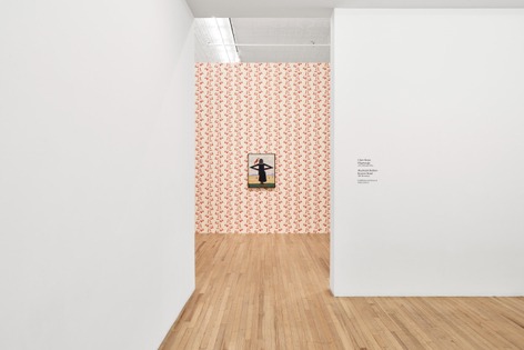 Installation view, Clare Rojas, Andrew Kreps Gallery, 22 Cortlandt Alley · 2025 (6)