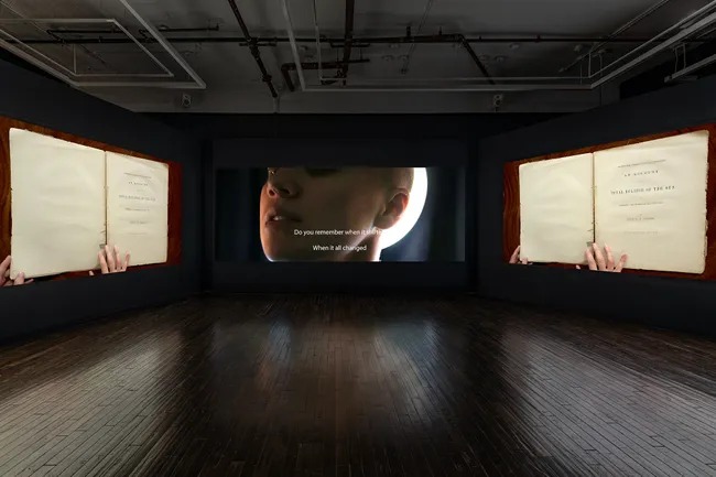 Janet Biggs:  Path of Totality