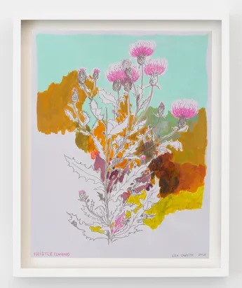 Installation view, Swamp Thistle , Philip Martin Gallery · 2026 (3)