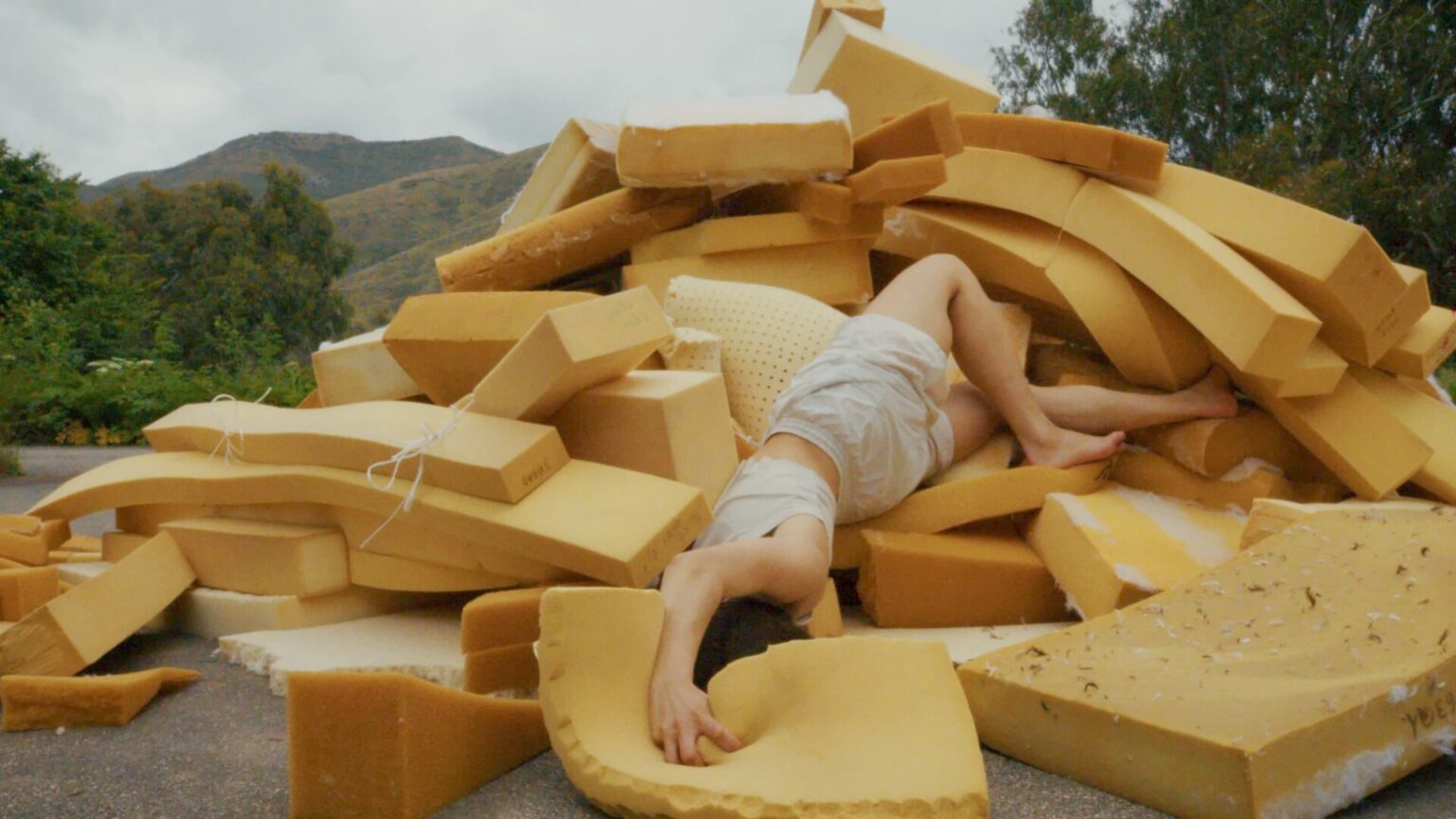 Sculpting Landscapes of Desire