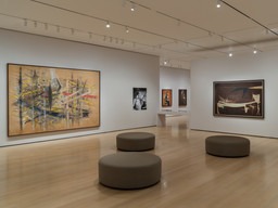 Installation view, When I Don’t Sleep, I Dream, MoMA · 2025 (8)