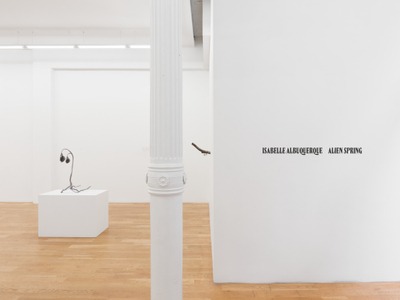 Installation view, Alien Spring, Nicodim · 2025 (1)