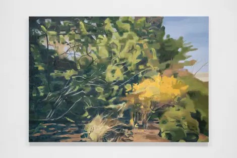 Installation view, Landscapes, Anton Kern Gallery
