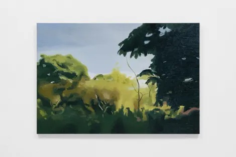 Installation view, Landscapes, Anton Kern Gallery · 2025 (13)
