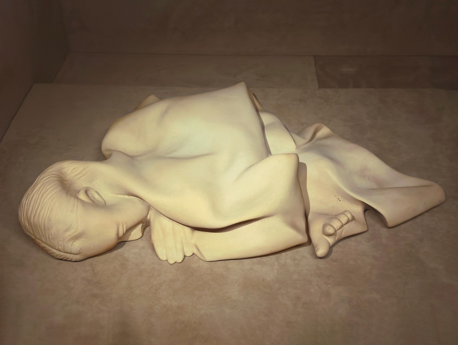 Arpita Singh: Unfolding