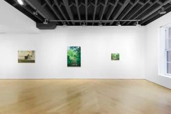 Installation view, Landscapes, Anton Kern Gallery · 2025 (7)