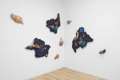Installation view, Underbelly Bloom, DIMIN · 2025 (5)