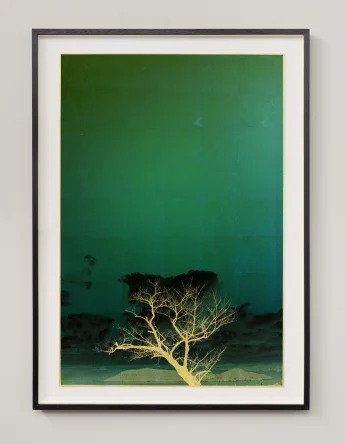 Installation view, Windows to the unexpected, Marshall Gallery · 2026 (6)