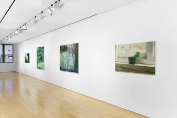 Installation view, Landscapes, Anton Kern Gallery · 2025 (10)