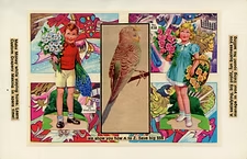 Installation view, Postcard Superhero and other Contemplations , Ki Smith · 2026 (6)