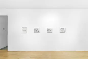 Installation view, Landscapes, Anton Kern Gallery · 2025 (3)