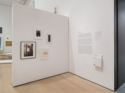 Installation view, Artist’s Choice: Arthur Jafa— Less Is Morbid, MoMA · 2025 (2)