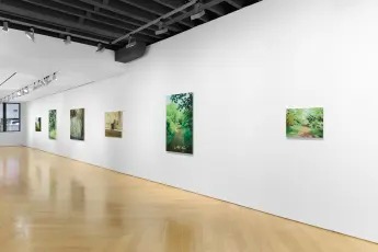 Installation view, Landscapes, Anton Kern Gallery · 2025 (6)