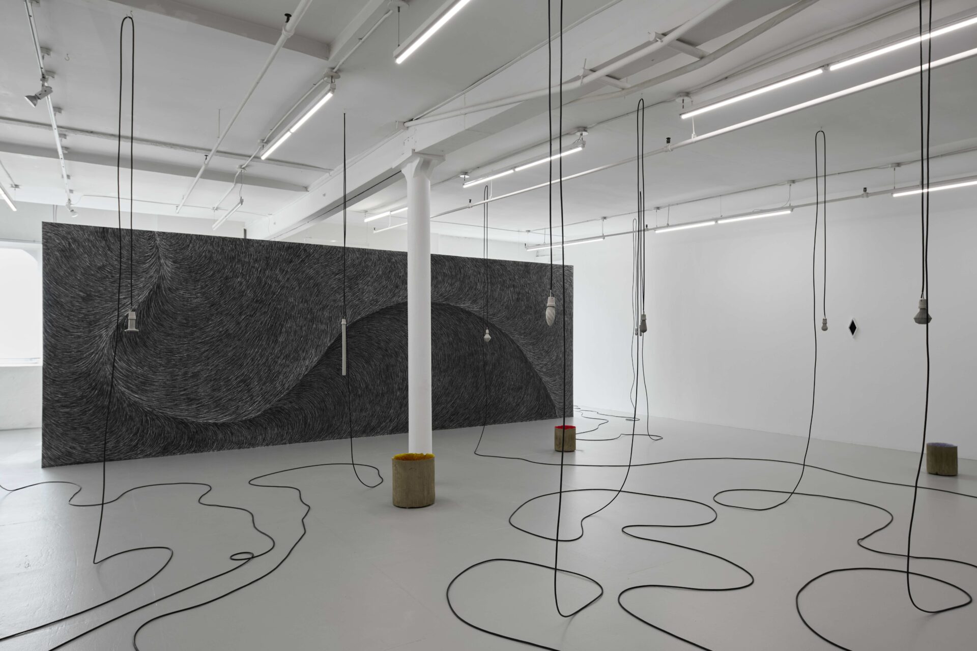 Marlon de Azambuja: Light Field