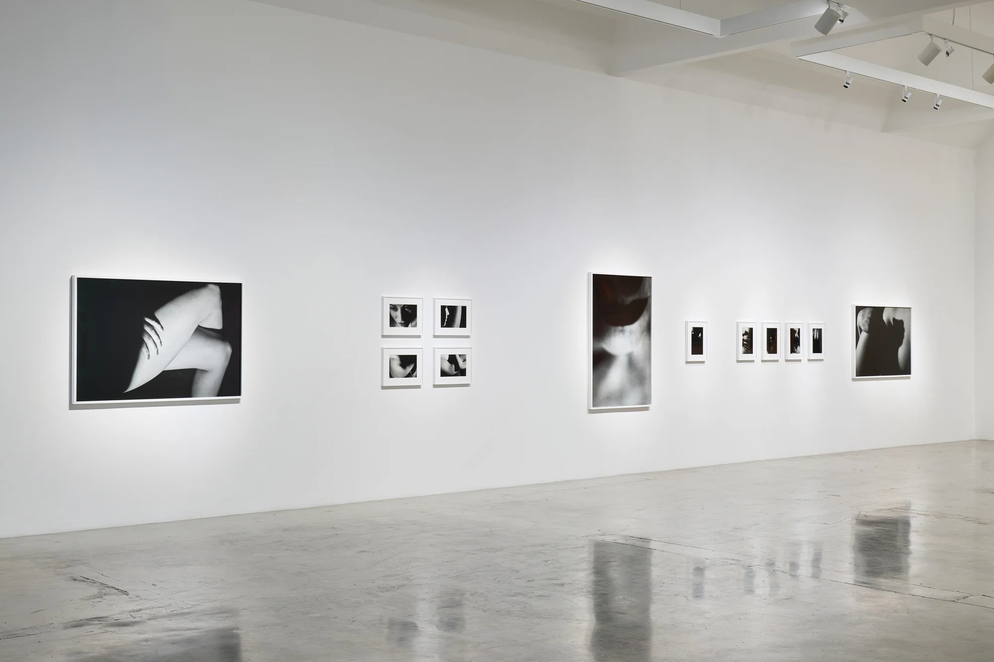 David Lynch: LA