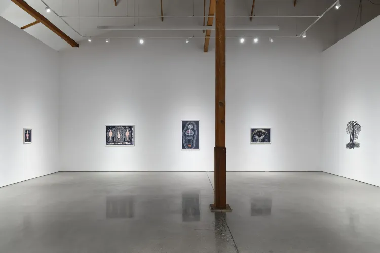 Installation view, Through the Tunnel, François Ghebaly · 2026 (7)