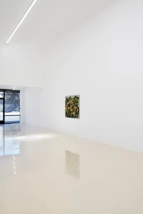 Installation view, Adam Higgins: Lollipop, Chris Sharp, Los Angeles, 2026