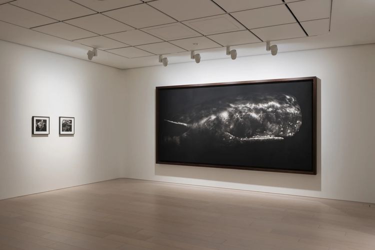 Installation view, Angels of the Maelstrom, Pace Gallery Tokyo · 2026 (1)