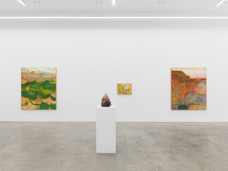 Installation view, Soumya Netrabile: Field Conditions, Anat Ebgi · 2026 (5)