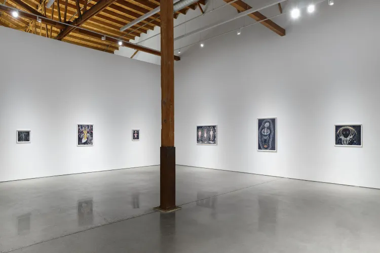 Installation view, Through the Tunnel, François Ghebaly · 2026 (4)