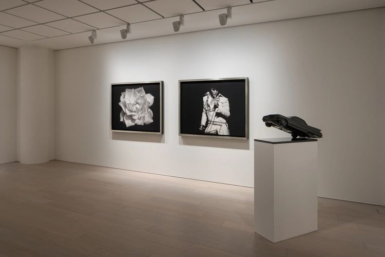 Installation view, Angels of the Maelstrom, Pace Gallery Tokyo · 2026 (4)