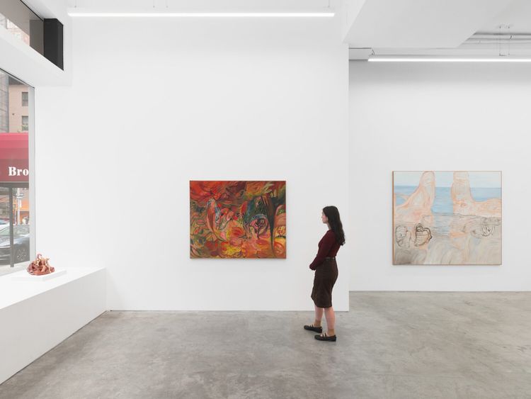 Installation view, Soumya Netrabile: Field Conditions, Anat Ebgi · 2026 (2)