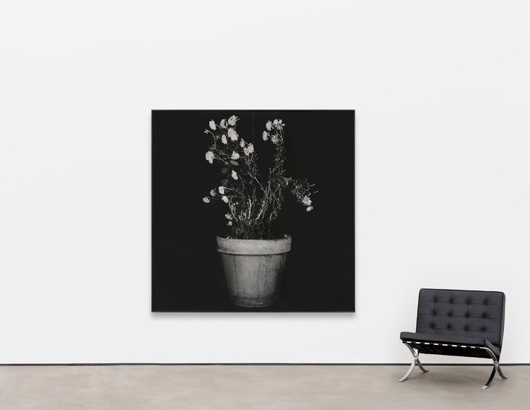 Installation view, John Baldessari: Sculptures, Sprüth Magers, Los Angeles, Los Angeles, 2026