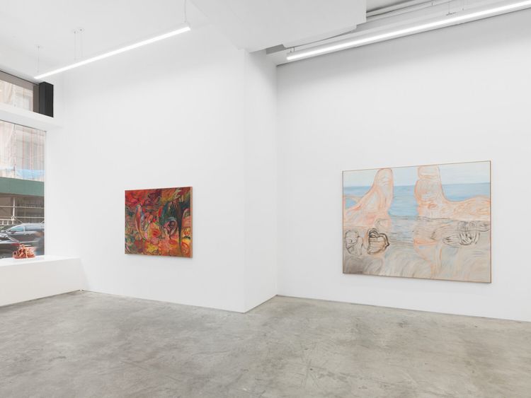 Installation view, Soumya Netrabile: Field Conditions, Anat Ebgi · 2026 (10)