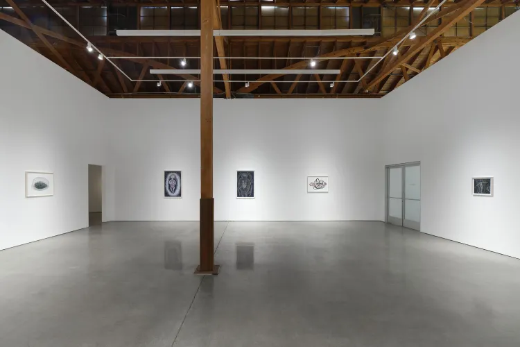 Installation view, Through the Tunnel, François Ghebaly