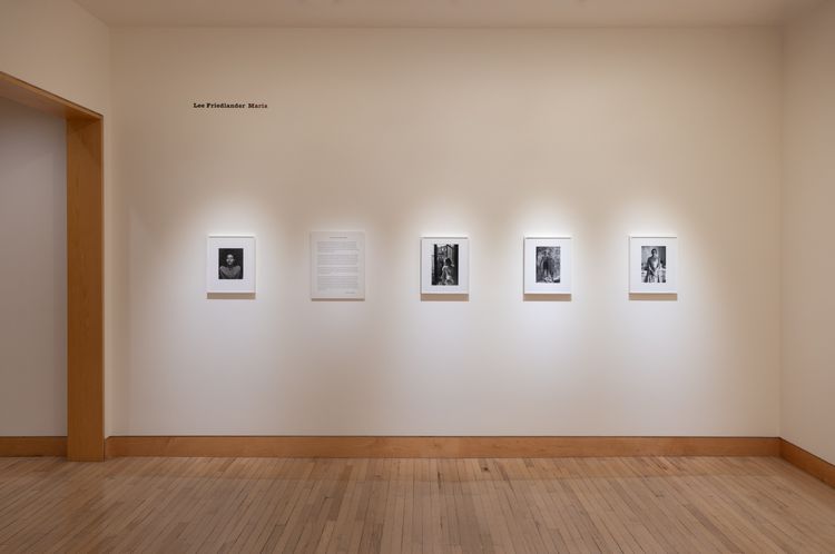 Installation view, Maria, Fraenkel Gallery · 2026 (5)