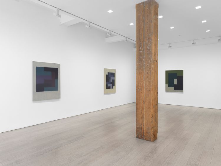 Installation view, Fitting, Miles McEnery, 511 W 22nd Street · 2026 (5)