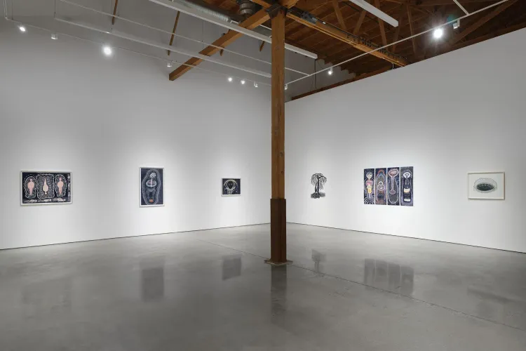 Installation view, Through the Tunnel, François Ghebaly · 2026 (8)