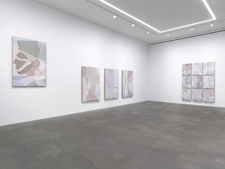 Installation view, THESPESIA GRANDIFLORA, Nino Mier Gallery, 62 Crosby St · 2026 (6)