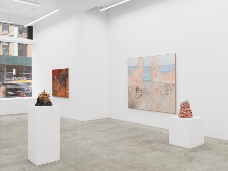 Installation view, Soumya Netrabile: Field Conditions, Anat Ebgi · 2026 (15)