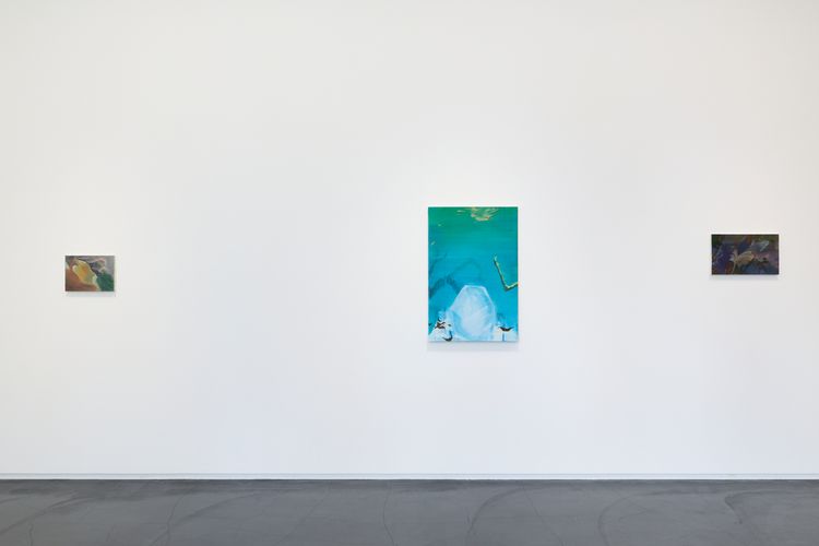 Installation view, Hiroka Yamashita: White Veils, Taka Ishii Gallery · 2026 (1)