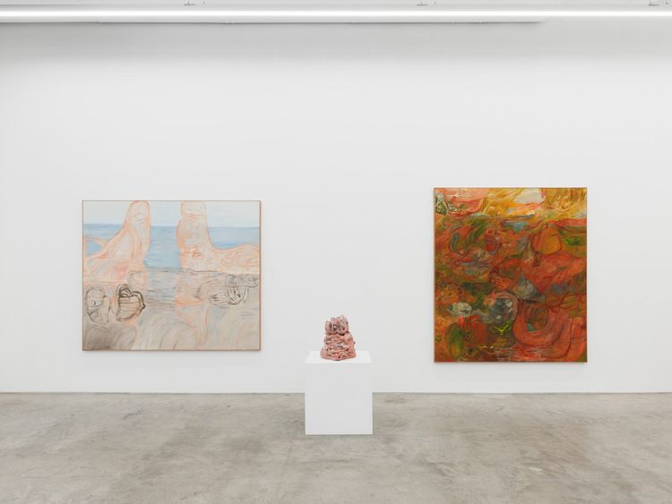 Installation view, Soumya Netrabile: Field Conditions, Anat Ebgi · 2026 (11)