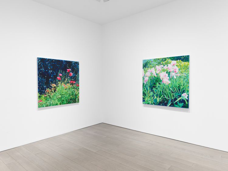 Installation view, The Language of Flowers, Miles McEnery, 511 W 22nd Street · 2026 (4)