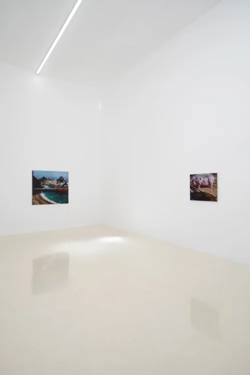 Installation view, Adam Higgins: Lollipop, Chris Sharp Gallery, 2026