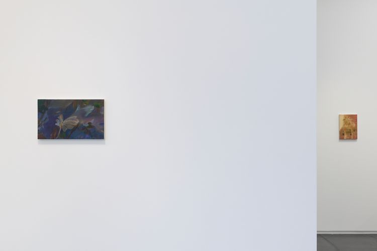 Installation view, Hiroka Yamashita: White Veils, Taka Ishii Gallery · 2026 (3)