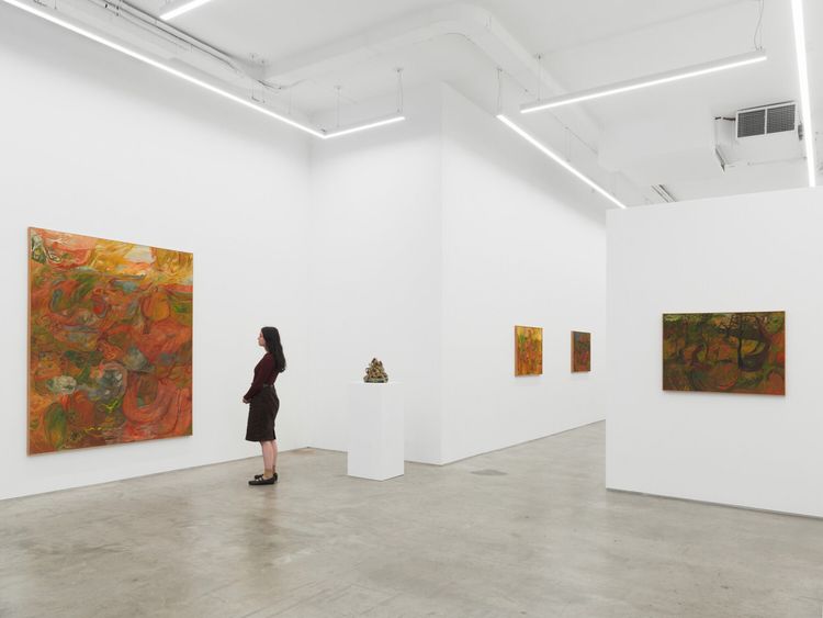 Installation view, Soumya Netrabile: Field Conditions, Anat Ebgi · 2026 (7)